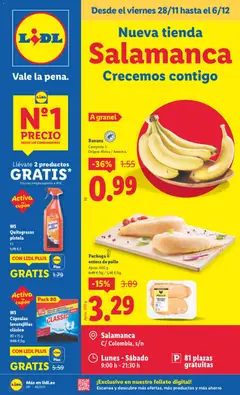 Vista previa del folleto de la tienda Lidl válido desde el 28/11/2025 