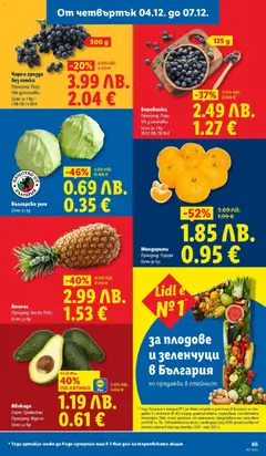 Преглед на Седмична брошура 49 от магазин Лидл - Офертата е валидна от 01.12.2025 | Cтраница: 65