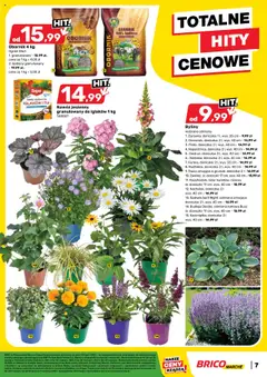 Pogląd gazetki "Gazetka" ze sklepu Brico Marché ważnej od 30.07.2025 | Strona: 8