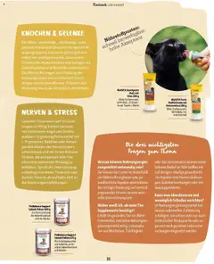 Vorschau der Angebote: Fressnapf Flugblatt gültig ab 01.09.2025 | Seite: 31