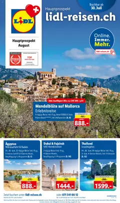 Vorschau des Merkblatts Aktionen Reisen August vom Shop Lidl gültig von 30.07.2025 bis 31.08.2025