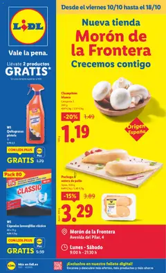 Vista previa del folleto de la tienda Lidl válido desde el 10/10/2025 