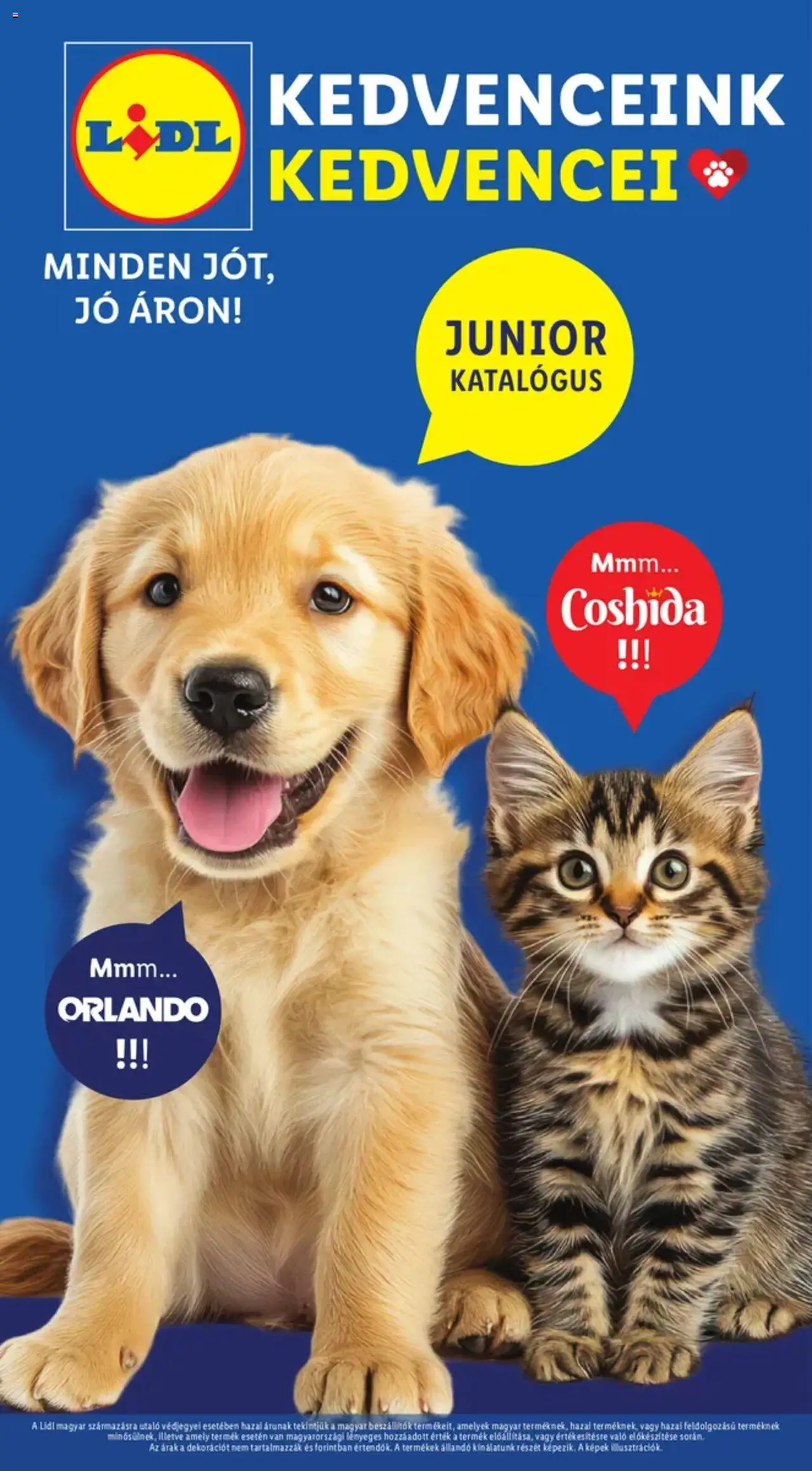 Lidl aktuális szórólap, érvényes 2025.06.19.-től - 1 oldal