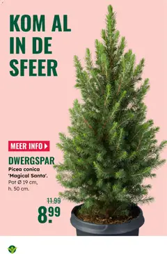 Voorbeeld van Folder van winkel GroenRijk geldig vanaf 05-11-2025 | Pagina: 3