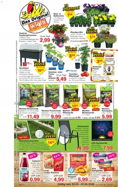 Vorschau von dem Prospekt des Geschäftes Wiglo Wunderland, gültig ab dem 20.04.2026