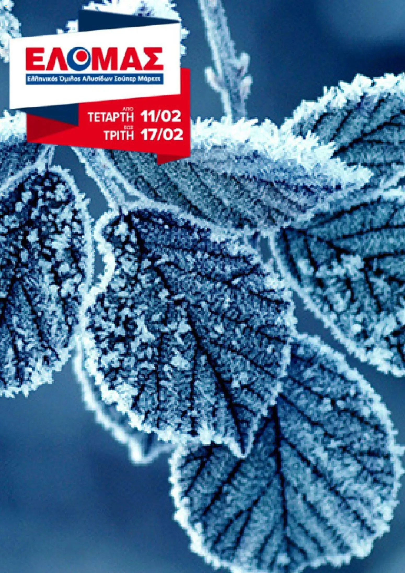 Preview of leaflet Φυλλάδιο from shop ΕΛΟΜΑΣ valid from 11/02/2026