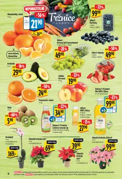 Náhled nabídky: Albert Hypermarket platný od 03.12.2025 | Strana: 15
