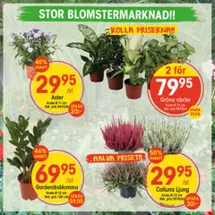 Förhandsgranska reklamblad Aktuella reklamblad EKO från butik EKO gäller från 01/09/2025