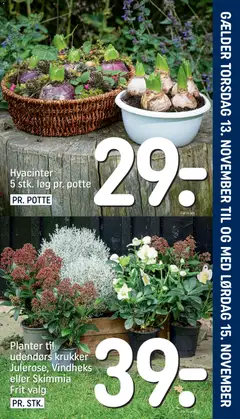 Eksempel på tilbudsavis Indstik fra butik Rema 1000 gyldig fra 13/11/2025