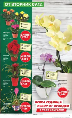Преглед на Седмична брошура 50 от магазин Кауфланд - Офертата е валидна от 08.12.2025 | Cтраница: 9