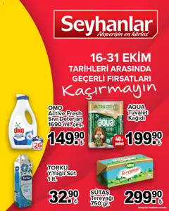 Seyhanlar Market Katalog 16.10.2025 - Broşürünün önizlemesi