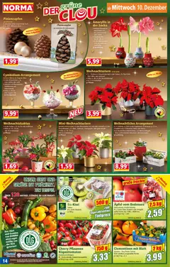Vorschau von dem Prospekt des Geschäftes Norma, gültig ab dem 08.12.2025 | Seite: 14