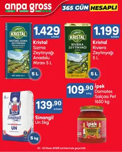 Anpa Gross Anpa Gross Katalog 10.04.2026 - Broşürünün önizlemesi
