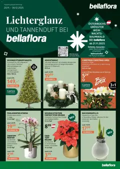 Vorschau der Angebote: bellaflora Bellaflora: Flugblatt gültig ab 19.11.2025