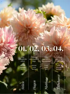 Forhåndsvis Kundeavis fra butikk Plantasjen gyldig fra 25/07/2025 | Side: 3