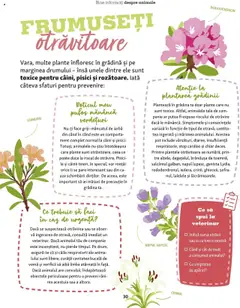 Previzualizarea de cataloage: Fressnapf Catalog - Vară valabil de la 05.05.2025 | Pagina: 30