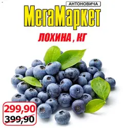 Попередній перегляд каталогу Акція Вихідного дня (Нивки) з магазину Мегамаркет дійсний від 18.07.2025