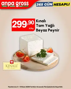 Anpa Gross Anpa Gross Katalog 03.04.2026 - Broşürünün önizlemesi