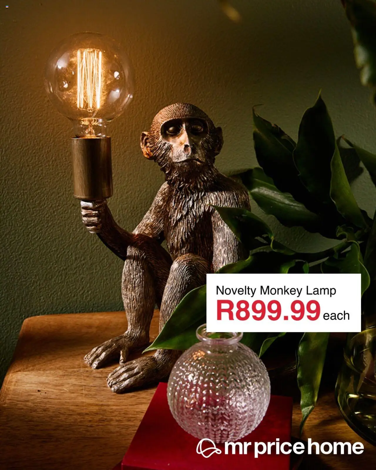 MRP Home Jungle Decor Specials from from Tuesday 29/07/2025 > Promotions - Lamp