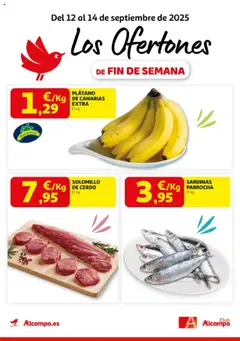 Vista previa del folleto de la tienda Alcampo válido desde el 12/09/2025 