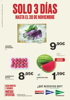 Vista previa del folleto de la tienda Supercor válido desde el 18/11/2025 