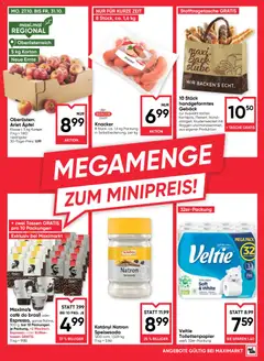Vorschau der Angebote: Maximarkt Flugblatt gültig ab 30.10.2025 | Seite: 13