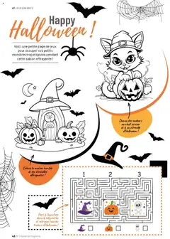 Prévisualisation de Catalogue du magasin VillaVerde formulaire valide 19/09/2025 | Page: 48