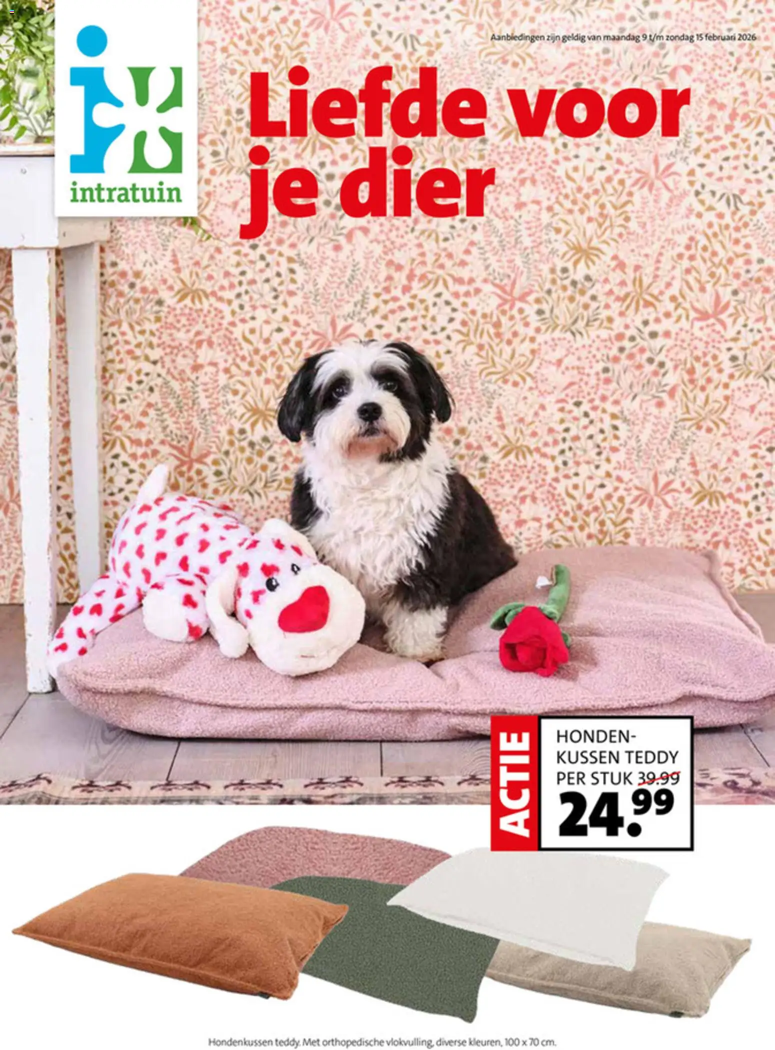 Voorbeeld van Huisdierenfolder van winkel Intratuin geldig vanaf 09-02-2026