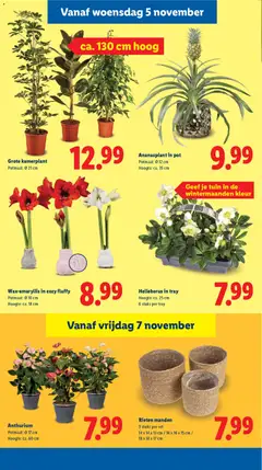 Voorbeeld van Folder week 45 van winkel Lidl geldig vanaf 03-11-2025 | Pagina: 21