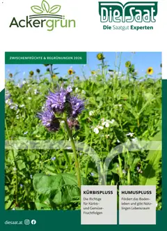 Vorschau der Angebote: Lagerhaus Lagerhaus Zwischenfrüchte und Begrünungen 2026 gültig ab 26.03.2026