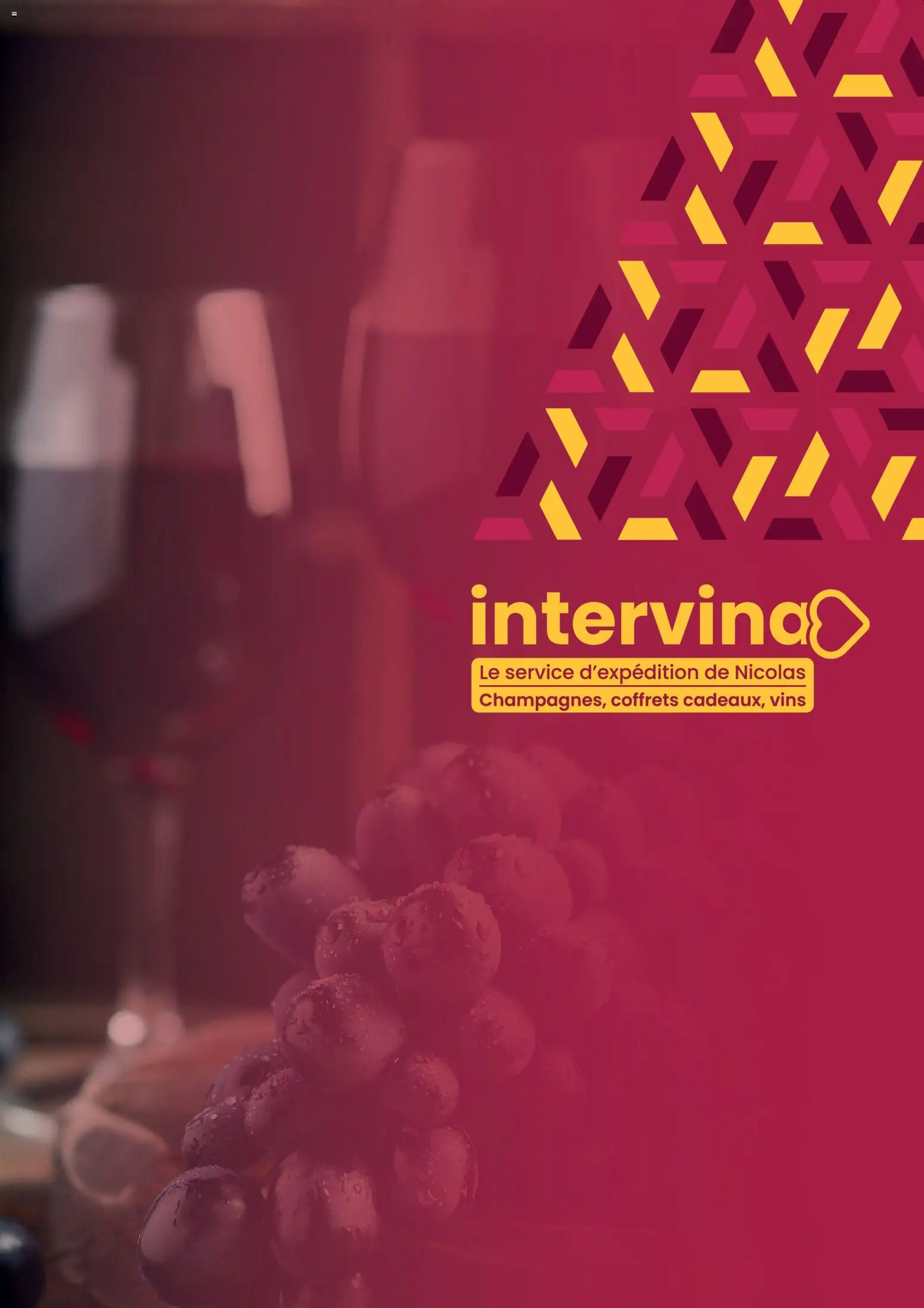 Prévisualisation de Catalogue du magasin Nicolas formulaire valide 10/06/2025