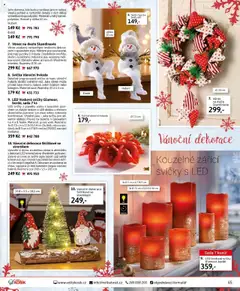 Náhled nabídky: Velký Košík Katalog říjen platný od 01.10.2025 | Strana: 65