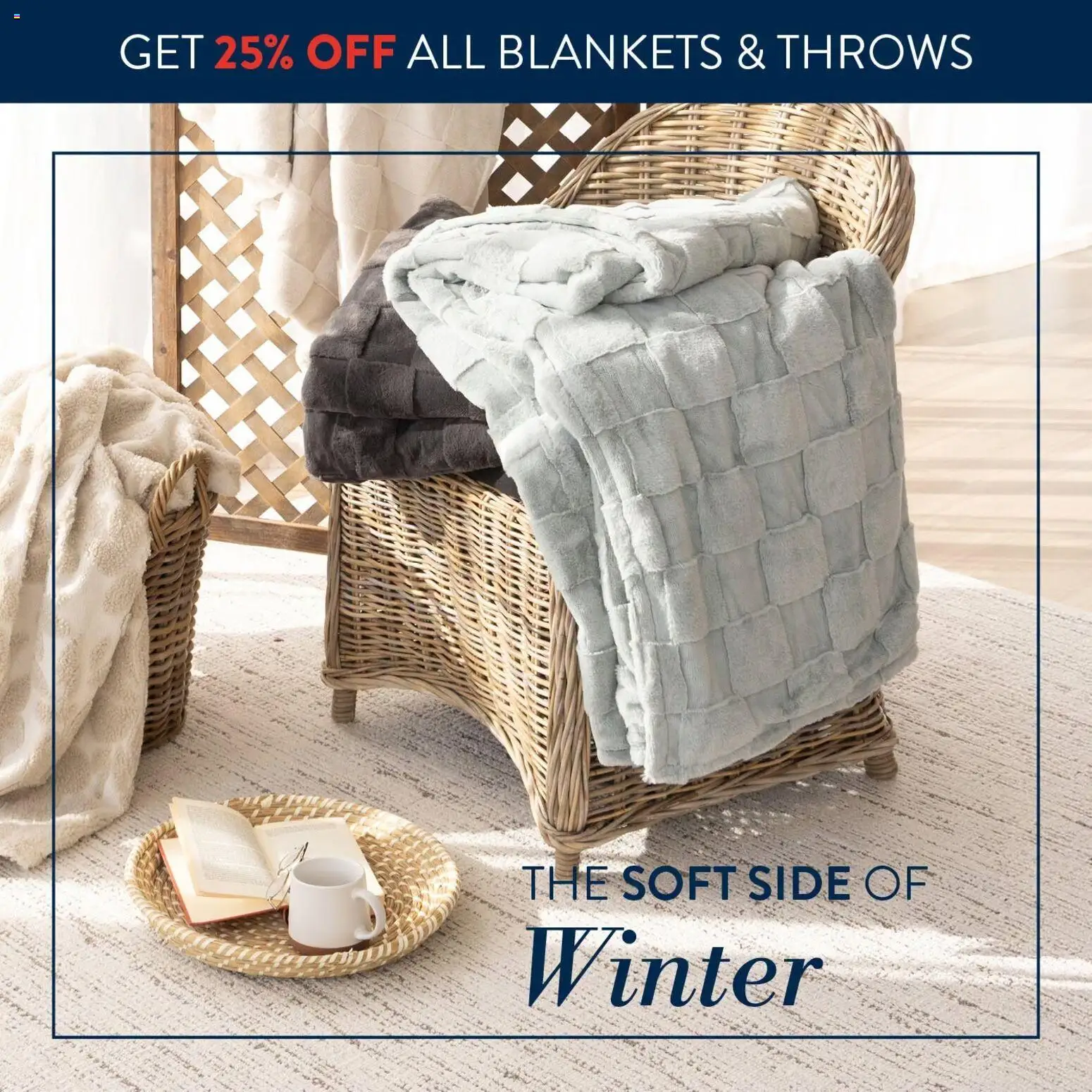 Preview of Volpes flyer valid from 20/04/2026