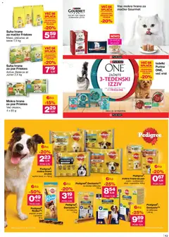 Predogled kataloga iz trgovine Mercator veljaven od 11.12.2025 | Stran: 43