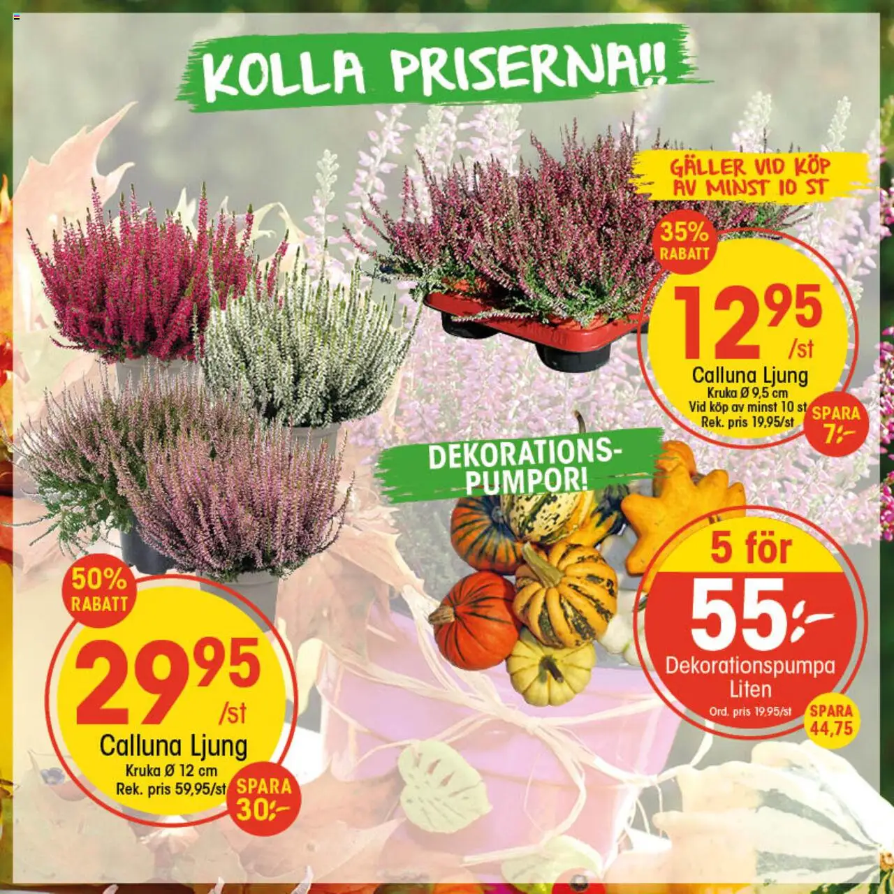 Aktuella reklamblad EKO är giltig 29/09 2025 > Veckans Erbjudanden gäller från 29/09/2025 till 05/10/2025 sidnummer 1