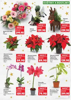 Náhled nabídky: Kaufland Leták platný od 03.12.2025 | Strana: 15