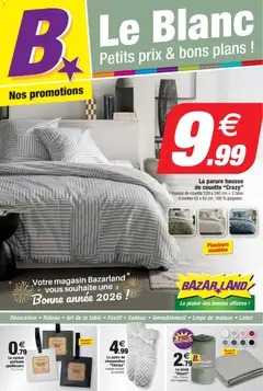 Prévisualisation de Catalogue du magasin Bazarland formulaire valide 31/01/2025