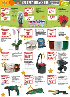 Náhled nabídky: Globus Leták platný od 03.12.2025 | Strana: 45