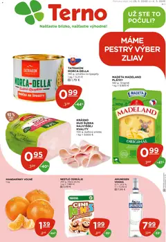 Náhľad Terno letáku platného od 26.02.2026