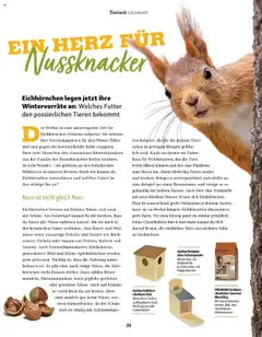 Vorschau der Angebote: Fressnapf Flugblatt gültig ab 01.09.2025 | Seite: 35