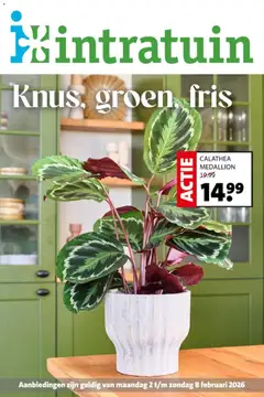 Voorbeeld van Folder van winkel Intratuin geldig vanaf 02-02-2026