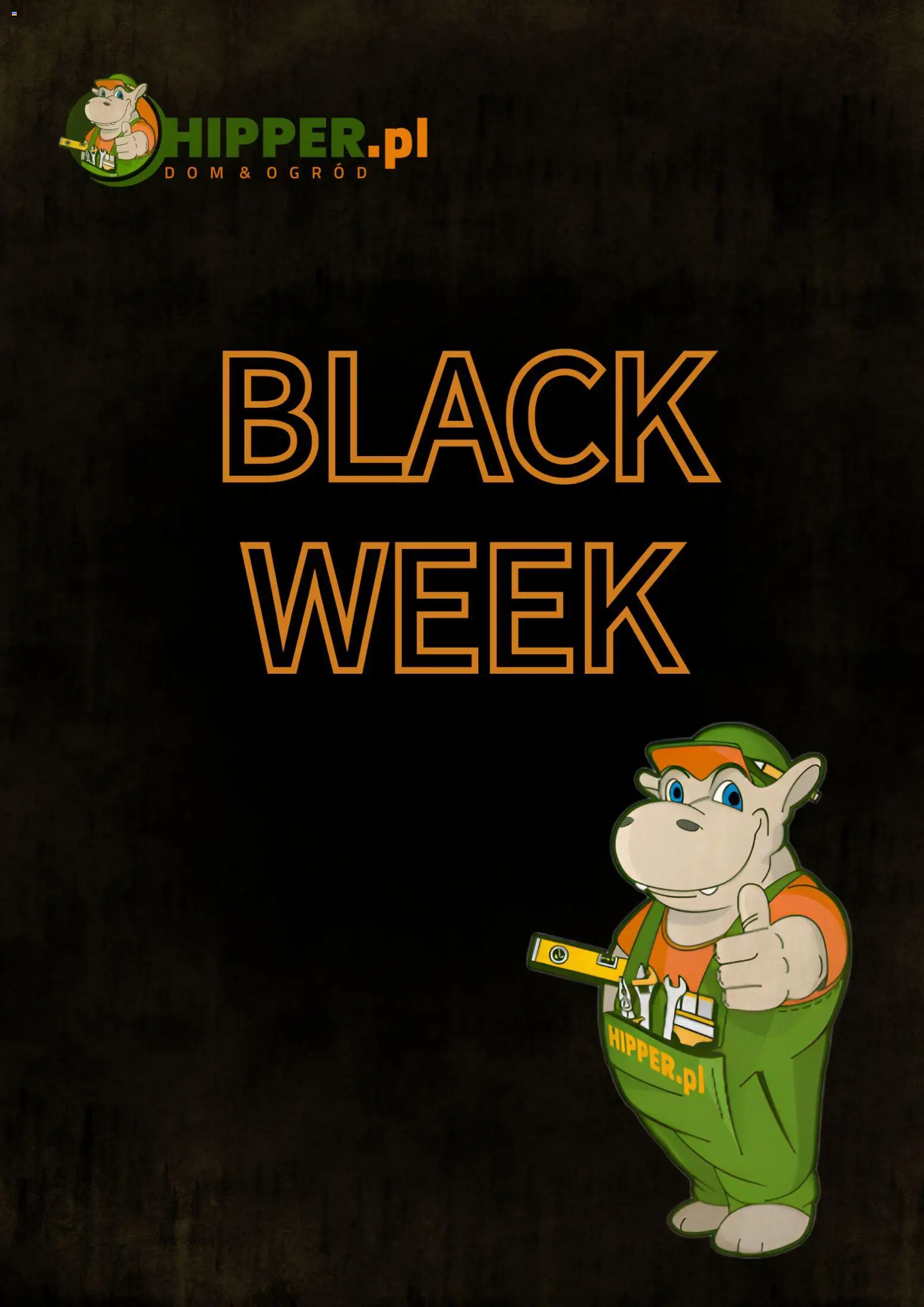 Pogląd gazetki "Black Friday" ze sklepu Hipper ważnej od 17.11.2025