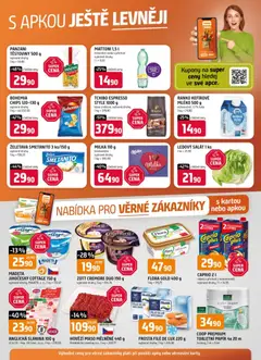 Náhled nabídky: Trefa Leták - Nabídka pro věrné zákazníky platný od 04.02.2026