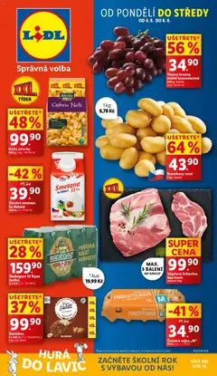 Náhled nabídky: Lidl Leták platný od 04.08.2025