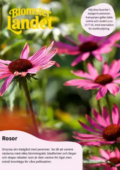 Förhandsgranska reklamblad Aktuella reklamblad Blomsterlandet från butik Blomsterlandet gäller från 23/07/2025