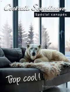 Prévisualisation de Catalogue du magasin Cocktail Scandinave formulaire valide 17/10/2025