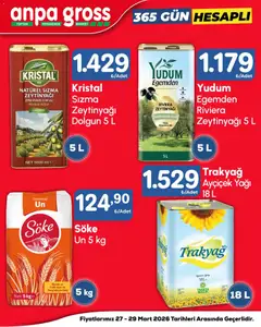 Anpa Gross Anpa Gross Katalog 27.03.2026 - Broşürünün önizlemesi