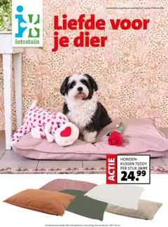 Voorbeeld van Huisdierenfolder van winkel Intratuin geldig vanaf 09-02-2026