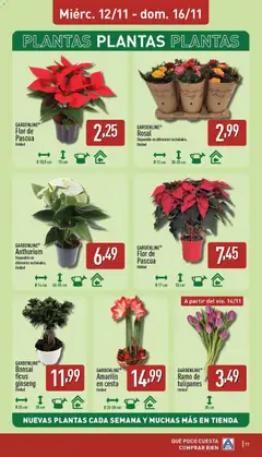 Vista previa del folleto de la tienda Aldi válido desde el 10/11/2025 | Página: 17