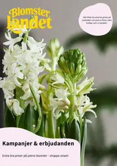 Förhandsgranska reklamblad Aktuella reklamblad Blomsterlandet från butik Blomsterlandet gäller från 01/12/2025